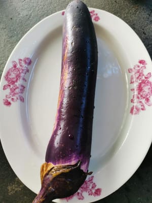 tallo de berenjena