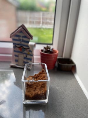 砂糖