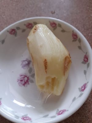 segmento de jengibre