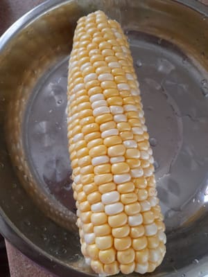 Pelar el maíz, lavarlo bien, cortarlo en 6 cuadritos o al gusto, reservar.
