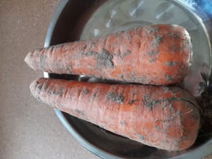 zanahorias gr