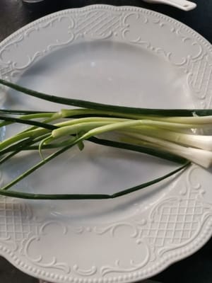 batang daun bawang