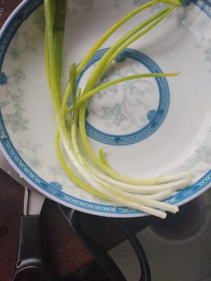 10g daun bawang