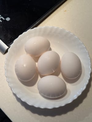 雞蛋