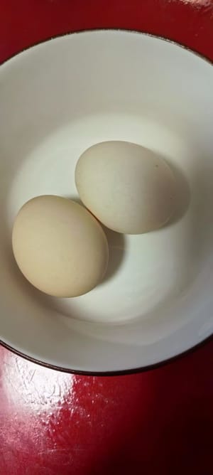 two eggs