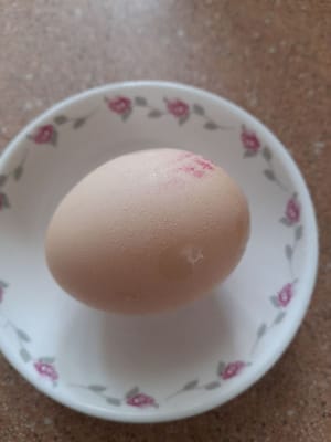 Eierfrucht