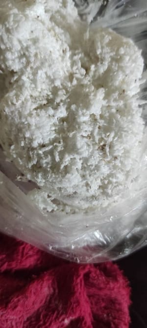 新鮮椰肉碎，用作配料