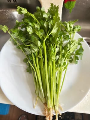 香菜