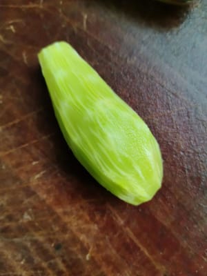 50g selada (bisa diganti dengan kacang polong).