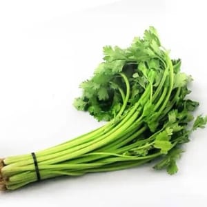20g celery