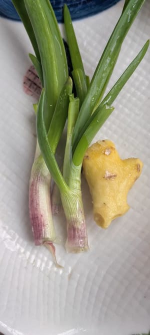 1 cipollotto, 4 fette di zenzero