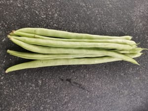 綠豆莖