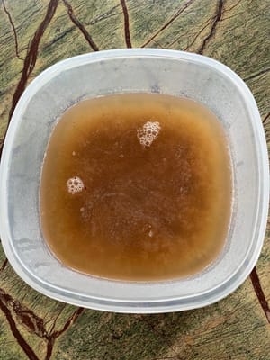将煮沸的混合物倒入冷却的容器中，冷却至室温。冷藏以获得清爽的口感。