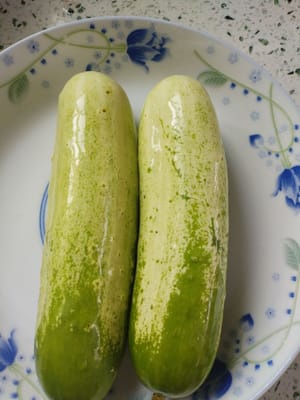 concombre