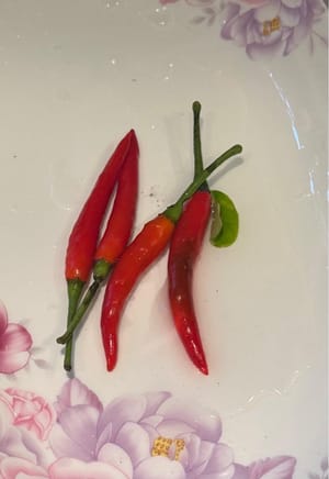 petits piments rouges