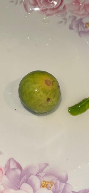 jus d'un demi-citron vert