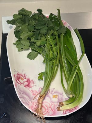 feuilles de coriandre