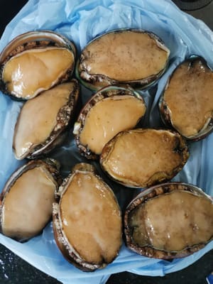 fresh abalone fruit