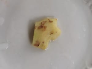 ginger finger joint