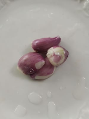 Red onion seeds