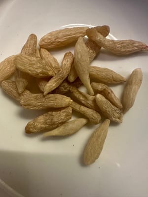 5 Gramm Ophiopogon japonicus