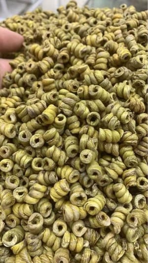 grano
