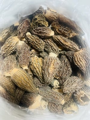 6 spugnole
