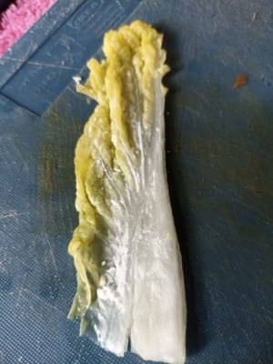 Bereiten Sie ein Stück Kohl vor, das zuvor gehackt und mit Mehl bestreut wurde
