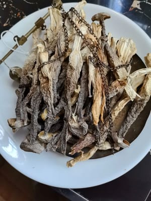 ベルベットマッシュルーム150g