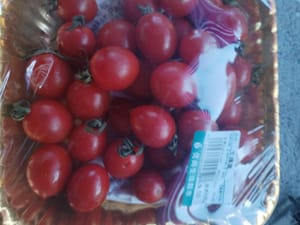 pomodorini