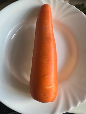 Karotte