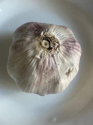 Knoblauch