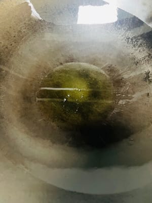 Dopo aver riscaldato la padella, versare una quantità sufficiente di olio da cucina, ruotarla per farla lubrificare uniformemente e versare la maggior parte dell'olio caldo una volta che la padella è completamente lubrificata, lasciando solo circa 50 grammi di olio sul fondo. Una volta lubrificata, la padella può efficacemente impedire all'anatra di attaccarsi alla padella durante la frittura successiva, rendendo il processo di cottura più fluido.