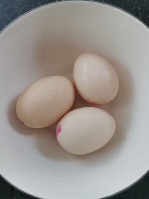 닭알