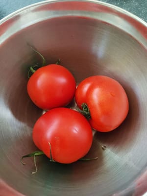 토마토 과일