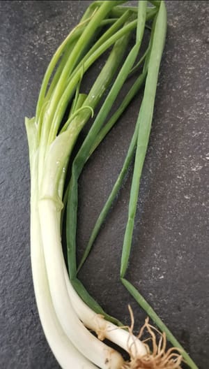 파 줄기 (약 3cm 크기로 자름)