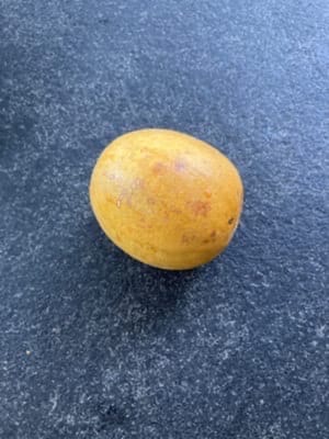 buah biksu (emas)