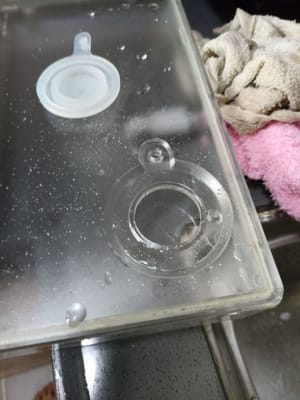 蒸锅内放入水