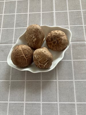  hongos