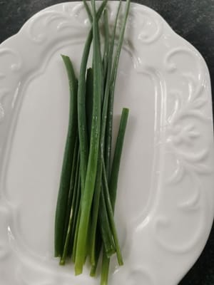 蔥葉