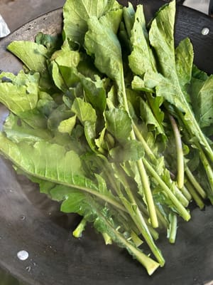 将萝卜的叶子。洗净