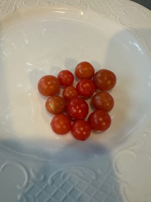 自家种的小番茄100克