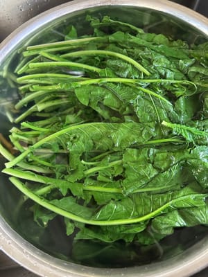 锅中的水烧开,放入将洗净的萝卜叶子,快速翻转,1分钟捞出。过冷水。冷却后将菜挤干水