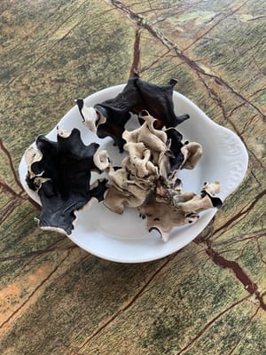 Black fungus