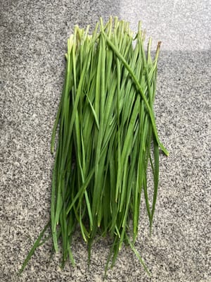 Chinese chives