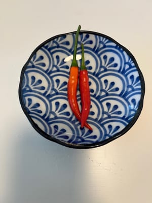指天椒