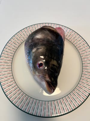 魚頭（約900克）