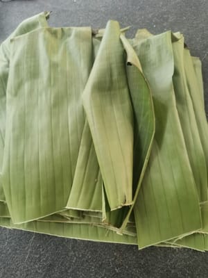 foglio di foglie di banana