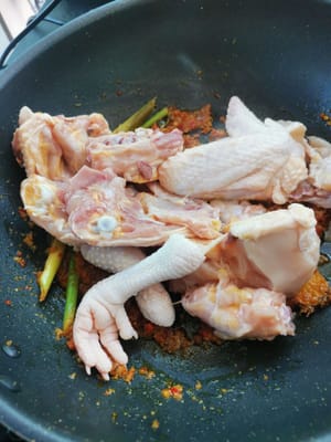 poi mettere la carne di pollo