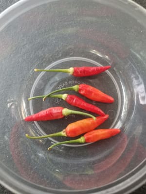 frutto del pepe di Cayenna